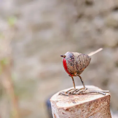 Wren - Bedale